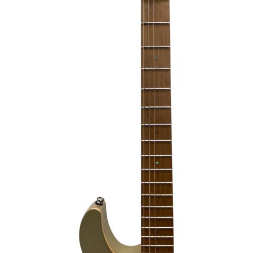 Cort (コルト) フラッグシップモデル ストラトキャスタータイプ エレキギター G300 Pro 2021年製 @