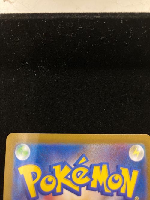 サザンドラex ポケモンカード SAR