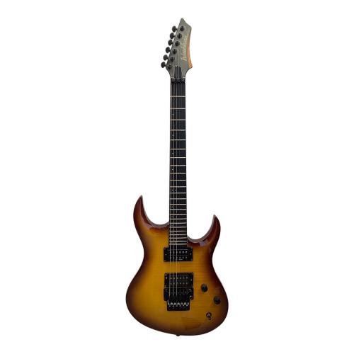 Washburn (ワッシュバーン) エレキギター XMPRO @