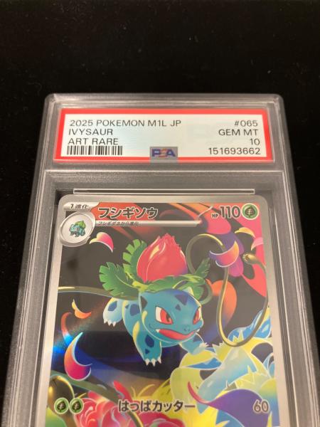 PSA10 フシギソウ ポケモンカード AR｜トレファクONLINE