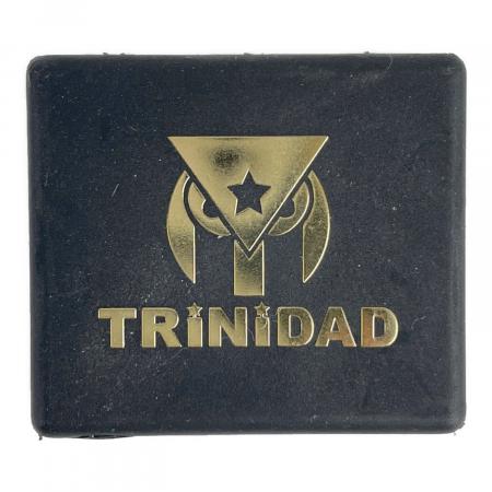 TRiNiDAD (トリニダード) ダーツ PRO SERIES ROMAN type3｜トレファク