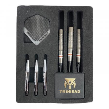 TRiNiDAD (トリニダード) ダーツ PRO SERIES ROMAN type3｜トレファク