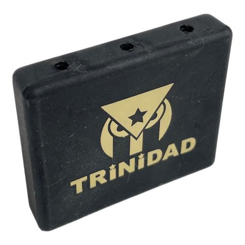 TRiNiDAD (トリニダード) ダーツ PRO SERIES ROMAN type3