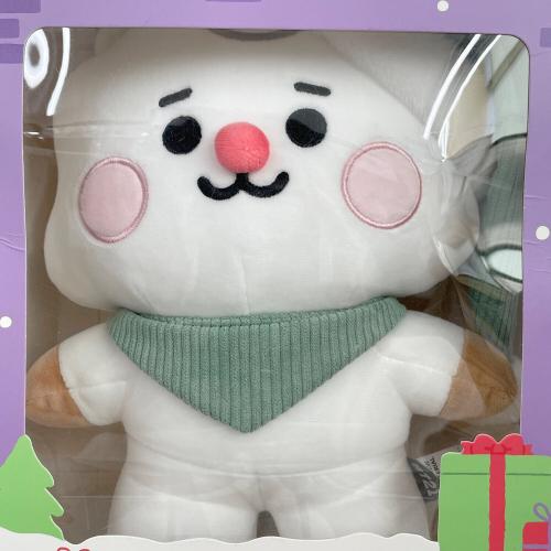 ヌイグルミ  BT21 LINE FRIENDS RJ