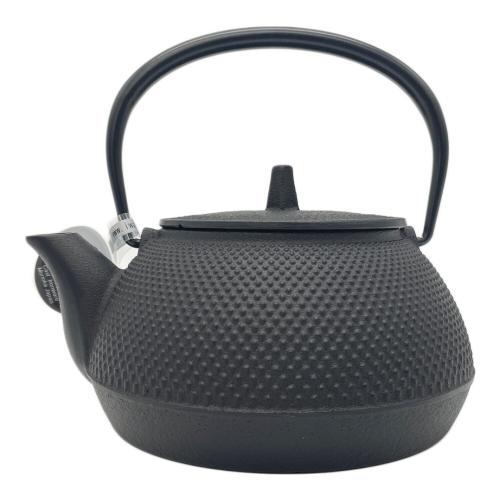 岩鋳 (イワチュウ) 急須 南部鉄器