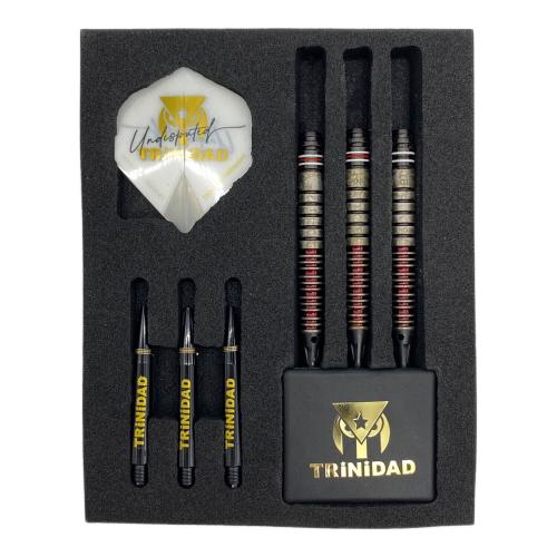 TRiNiDAD (トリニダード) ダーツ アンディスピューティド ゴメス15