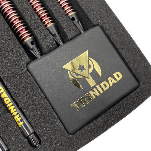 TRiNiDAD (トリニダード) ダーツ アンディスピューティド ゴメス15