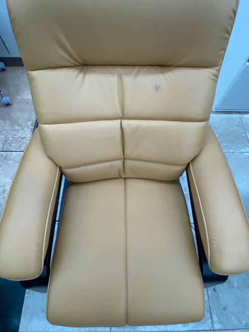 冨士ファニチア (フジファニチア) リクライニングチェアー