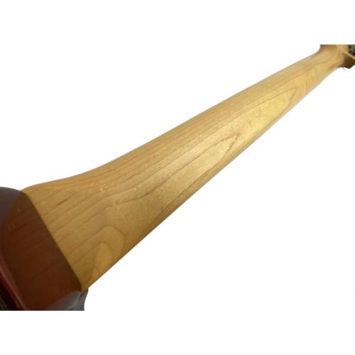 FUJIGEN (フジゲン) J-Standard ILIAD エレキギター JIL2-EW2-R/KNB