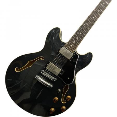 SCHECTER (シェクター) セミアコ エレキギター R-SW-260｜トレファクONLINE