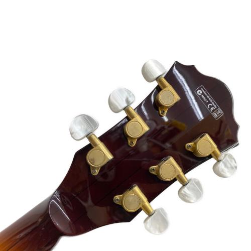 IBANEZ (アイバニーズ) フルアコ エレキギター AF105VB
