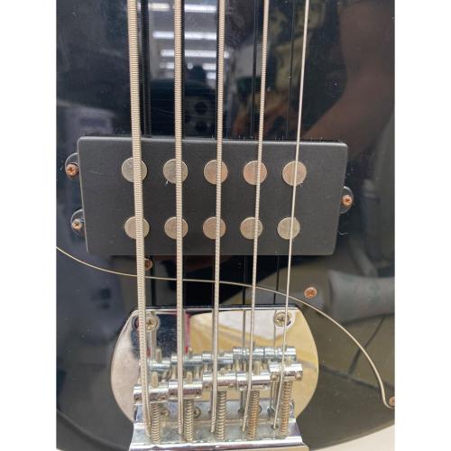 Sterling by MUSICMAN (スターリン バイ ミュージックマン) SUB RAY 5 エレキベース @