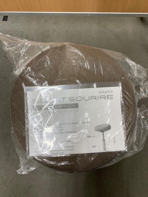 MIZUNO (ミズノ) トレーニング椅子 C3JHI80255 SQUAT SOURIRE