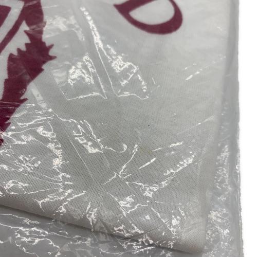 Champion (チャンピオン) カレッジロゴTシャツ メンズ SIZE M ホワイト トリコタグ リンガー USA製