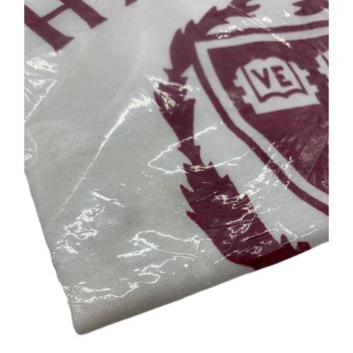 Champion (チャンピオン) カレッジロゴTシャツ メンズ SIZE M ホワイト トリコタグ リンガー USA製