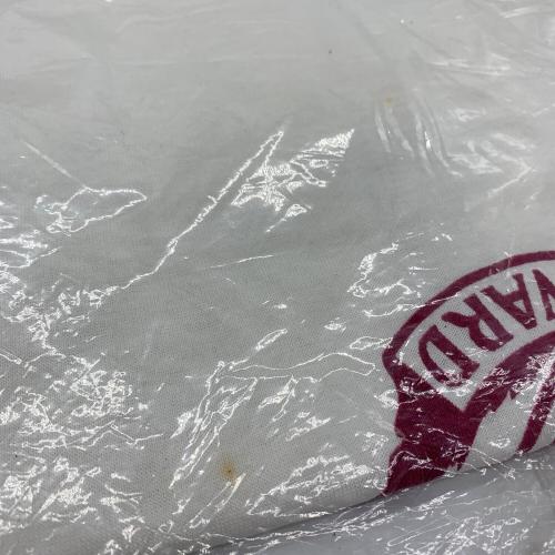 Champion (チャンピオン) カレッジロゴTシャツ メンズ SIZE M ホワイト トリコタグ リンガー USA製