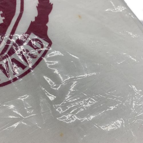 Champion (チャンピオン) カレッジロゴTシャツ メンズ SIZE M ホワイト トリコタグ リンガー USA製