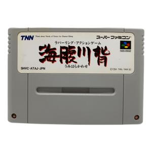 Nintendo (ニンテンドー) スーパーファミコン用ソフト 動作確認済み ヤケ・ヨゴレ有 海腹川背 -