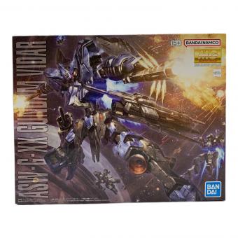 BANDAI (バンダイ) ガンプラ MG ガンダムヴィダール