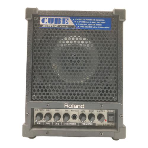 ROLAND (ローランド) 多目的モニターアンプ CM-30