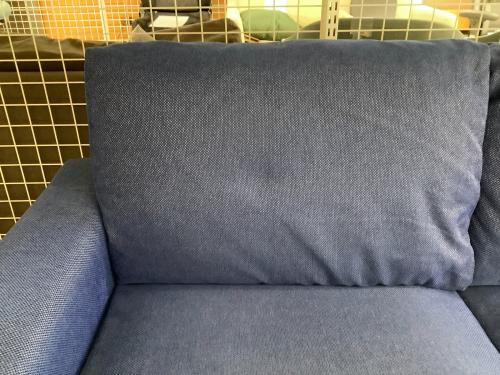 NOYES (ノイエス) 2.5人掛けソファー NewSugerStanrd