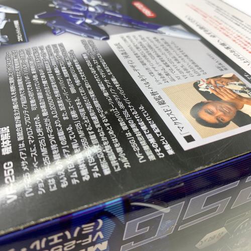 DX超合金 マクロスＦ VF-25G メサイアバルキリー (ミハエル・ブラン) フィギュア