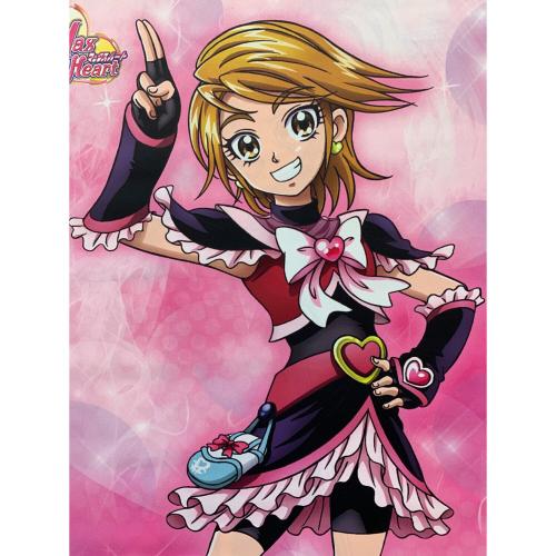 ふたりはプリキュアMax Heart 両面タペストリー キュアブラック＆美墨なぎさ キャラクターグッズ