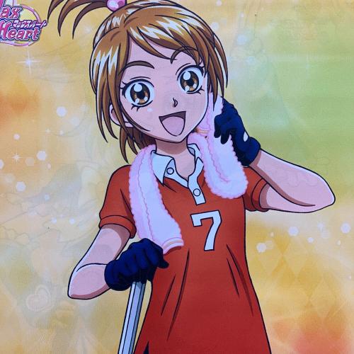 ふたりはプリキュアMax Heart 両面タペストリー キュアブラック＆美墨なぎさ キャラクターグッズ