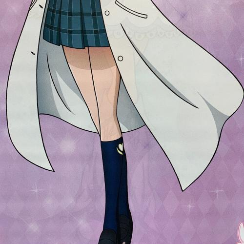 ふたりはプリキュアMax Heart 両面タペストリー キュアホワイト＆雪城ほのか キャラクターグッズ