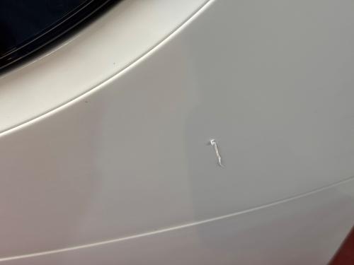 TOSHIBA (トウシバ) ドラム式洗濯乾燥機 TW-95G9L 2021年製