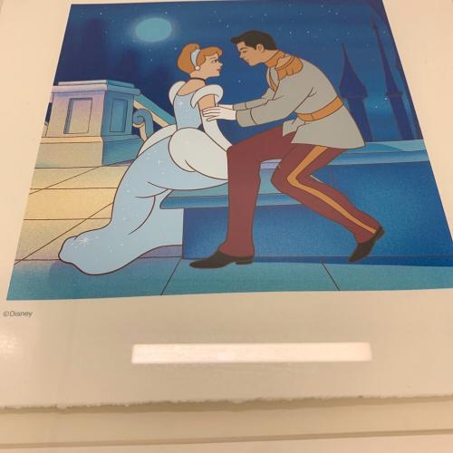 DISNEY (ディズニー) セリグラフ シンデレラ