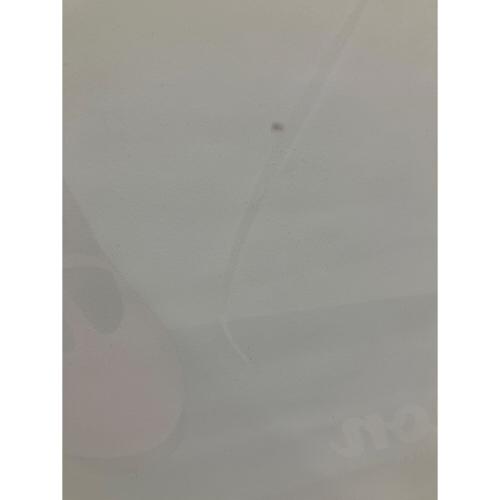 蒼海夏音 等身大タペストリー karory＆ぱん ふたり展 in 新宿マルイメン