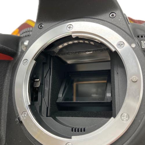 Nikon (ニコン) デジタル一眼レフカメラ D3100