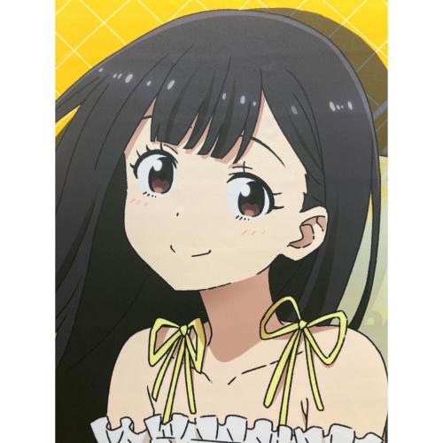 ANIPLEX (アニプレックス) タペストリー
