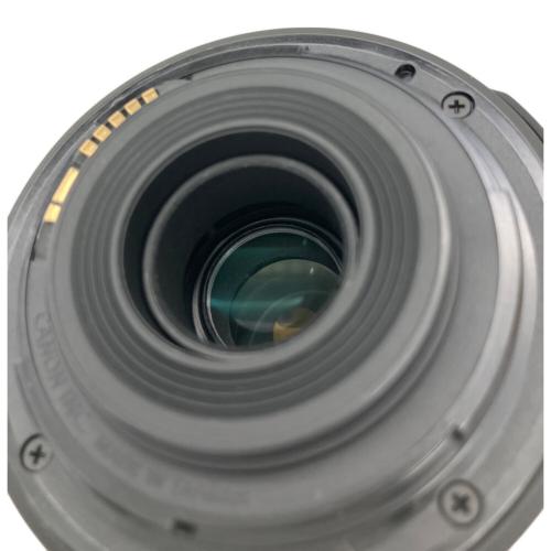 CANON (キヤノン) ズームレンズ EF-S 55-250mm F4-5.6 IS Ⅱ