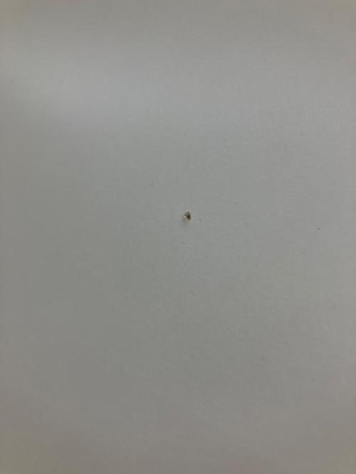 松田家具 (マツダカグ) レンジボード  ホワイト×シルバー