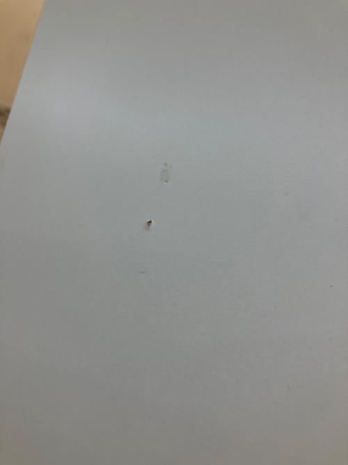 松田家具 (マツダカグ) レンジボード  ホワイト×シルバー