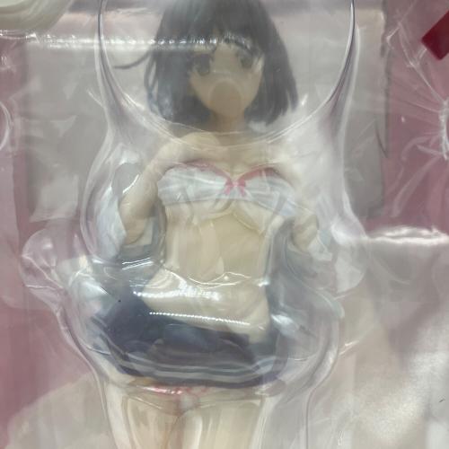 冴えない彼女の育てかた (サエナイカノジョのソダテカタ) 抱き枕Ver 1/7スケールフィギュア