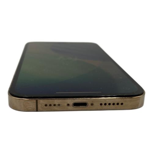 Apple (アップル) iPhone12 Pro Max MGD13VC/A