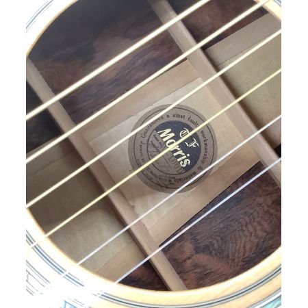 MORRIS (モーリス) アコースティックギター　W-100D   堀内孝雄モデル