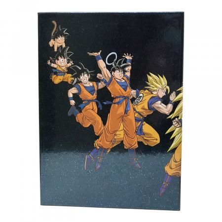 ポニーキャニオン DRAGON BALL DVD-BOX DRAGON BOX GT編｜トレファクONLINE