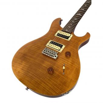 Paul Reed Smith (ポール リード スミス) SE CUSTOM24 2013年 N22124