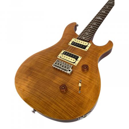 PRS ポールリードスミス　custom24 2013年製 Paul Reed Smith (ポール リード スミス) SE CUSTOM24 2013年 N22124