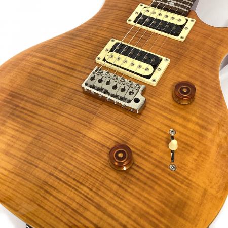 PRS ポールリードスミス　custom24 2013年製 Paul Reed Smith (ポール リード スミス) SE CUSTOM24 2013年 N22124