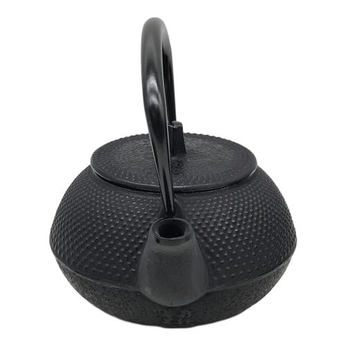 岩鋳 (イワチュウ) 南部鉄器 急須/茶こぼし