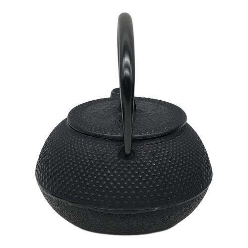 岩鋳 (イワチュウ) 南部鉄器 急須/茶こぼし