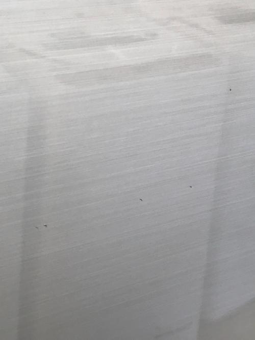 TOSHIBA (トウシバ) 3ドア冷蔵庫 ポケット破損有 GR-H34S 2016年製 330L クリーニング済