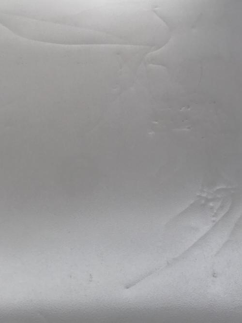 HITACHI (ヒタチ) 3ドア冷蔵庫 R-S32JV 2019年製 315L クリーニング済