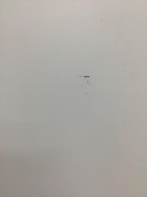 HITACHI (ヒタチ) 6ドア冷蔵庫 R-GS4800H 2018年製 475L