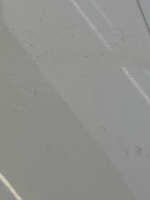 SHARP (シャープ) 全自動洗濯機 ES-GV8J 2025年製